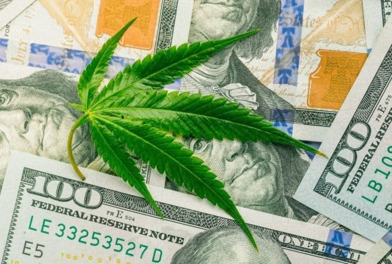 Reasons Cannabis Legalization Economy Root Sciences