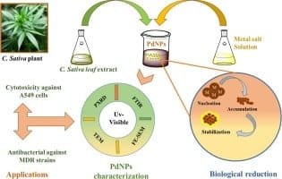 Nanotechnology in