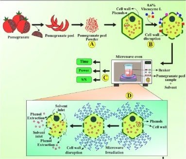 Enzymatic Extraction