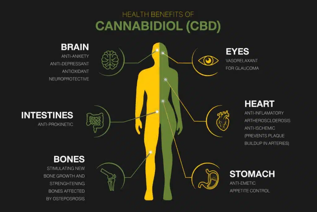 Potential Benefits of CBD