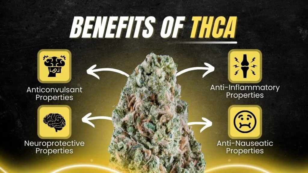 Potential Benefits of THCA