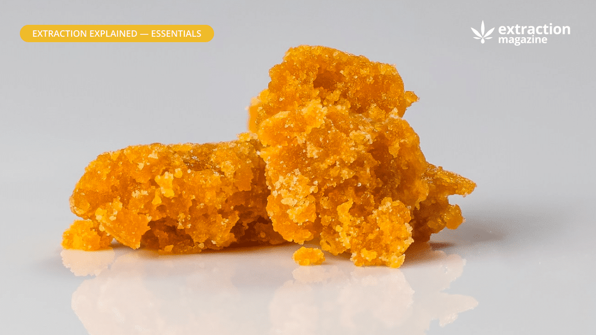 Solvent vs. Solventless Extraction: Pros, Cons, and Key Differences