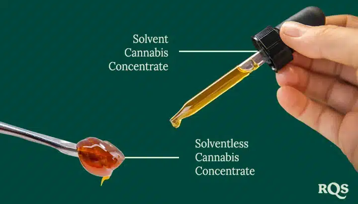 Solvent vs. Solventless Extraction: Key Differences