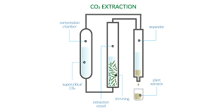 Supercritical Co2 Extraction