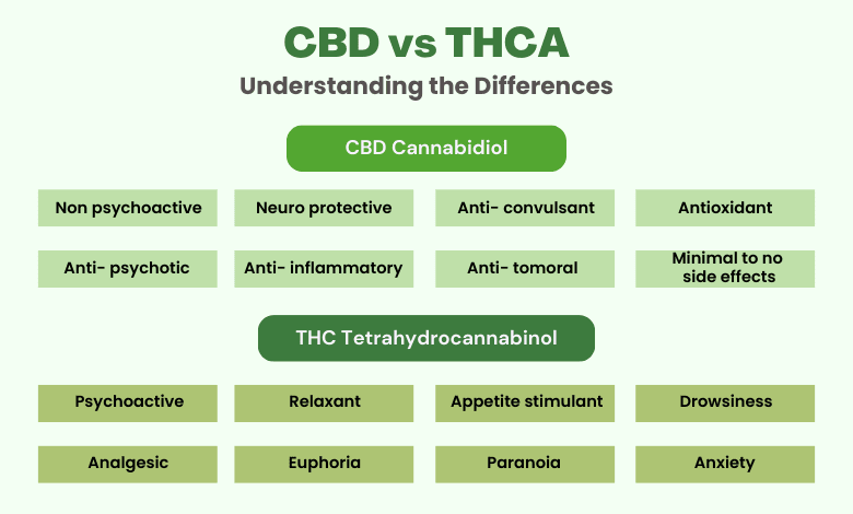 THCA vs. CBD: Key Differences