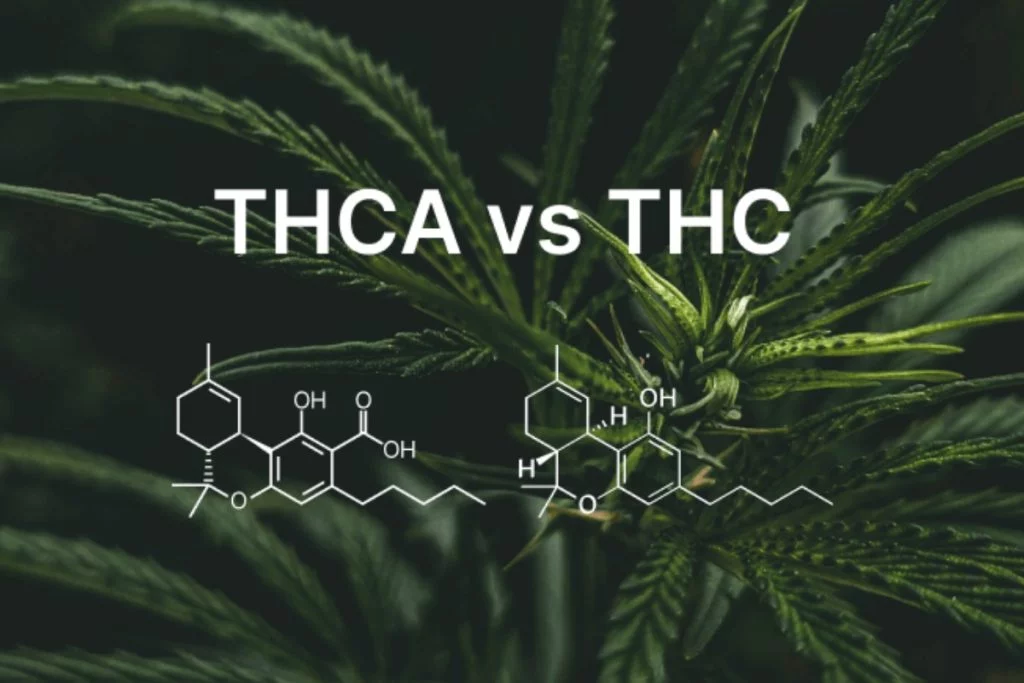 THCa Distillate vs. THC Distillate