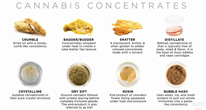 Understanding Cannabis Concentrates