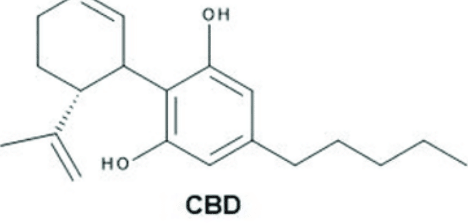 What is CBD?