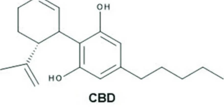 What is CBD?