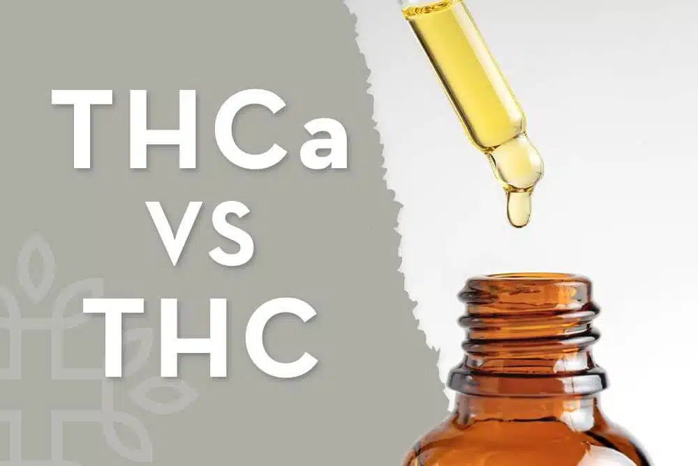 Read more about the article THCA vs. THC: Key Differences, Benefits, and How They Work?