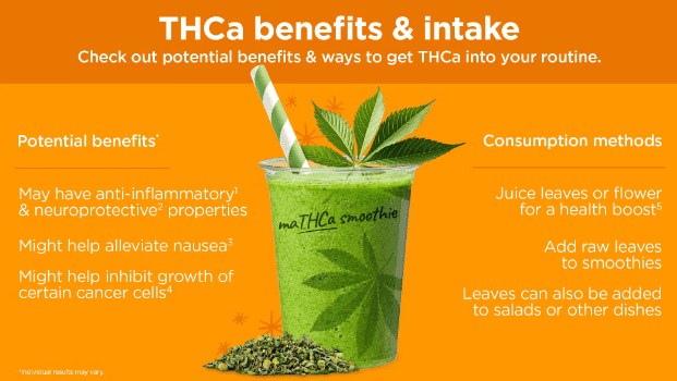 THCA's Potential Health Benefits