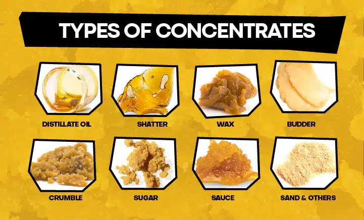 Types of Cannabis Extracts