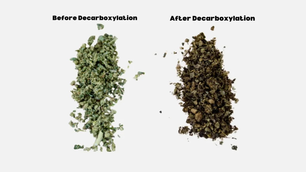 Understanding Decarboxylation