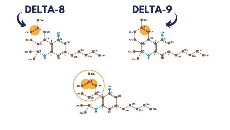 Comparing Delta-8 and Delta-9 THC