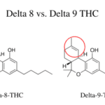 Delta-8 THC vs. Delta-9 THC: What’s The Difference?