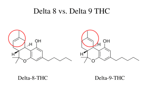 Read more about the article Delta-8 THC vs. Delta-9 THC: What’s The Difference?