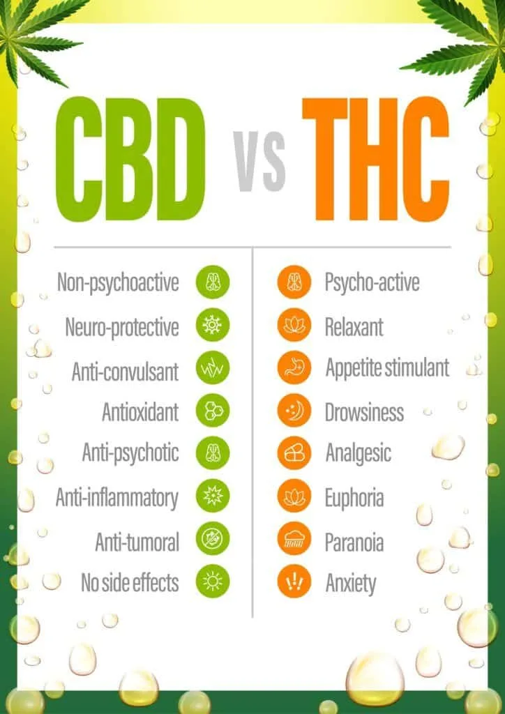 Difference Between THC and CBD Distillates 1