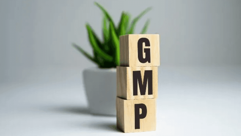 Read more about the article The Complete Guide to GMP Certification in the Cannabis Industry