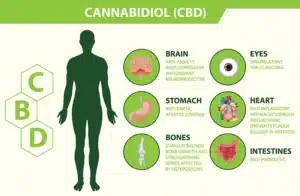 Benefits of CBD