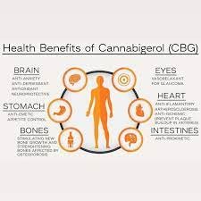 Benefits of CBG