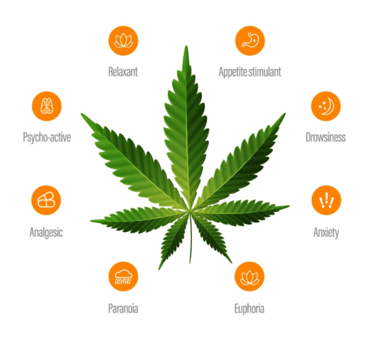 Benefits of Different Types of THC