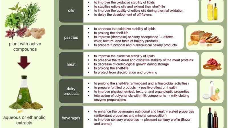 Common Applications of Cryogenic Ethanol Extracts