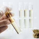 Cryogenic Ethanol Extraction Explained: Benefits for Cannabis Producers