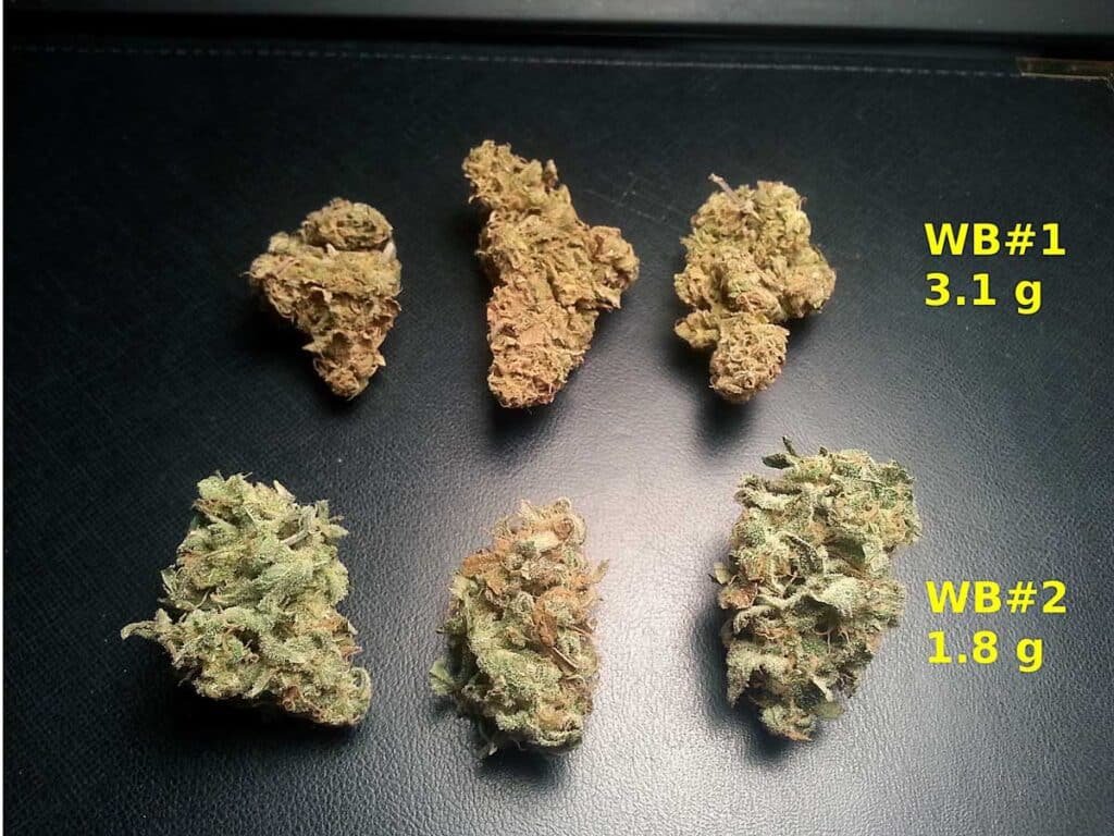 Drying vs. Curing Cannabis Flower: What's the Difference?