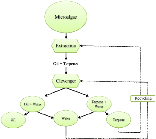 Extraction Techniques