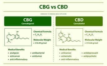 Key Differences Between CBD and CBG