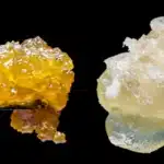 Live Resin vs Solventless