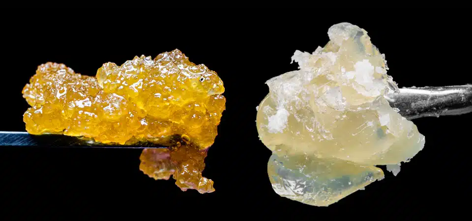 Read more about the article Live Resin vs Solventless