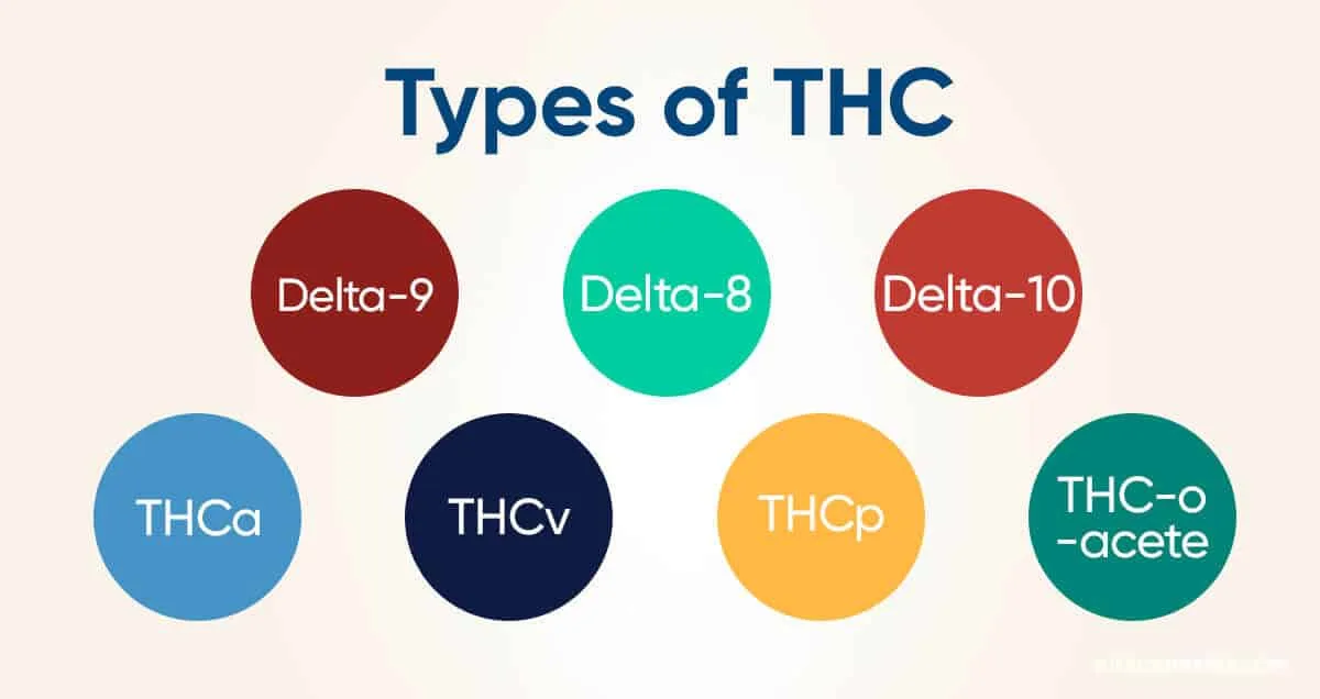 Read more about the article Types of THC and Their Effects: What You Need to Know