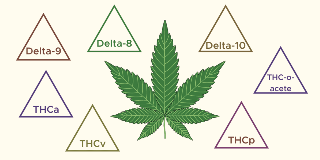 What are different types of thc