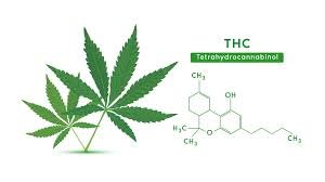 What is THC?