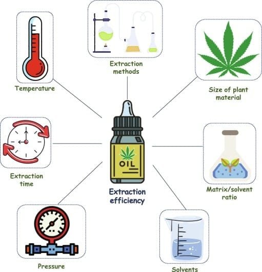 Best Extraction Process Which One to Choose