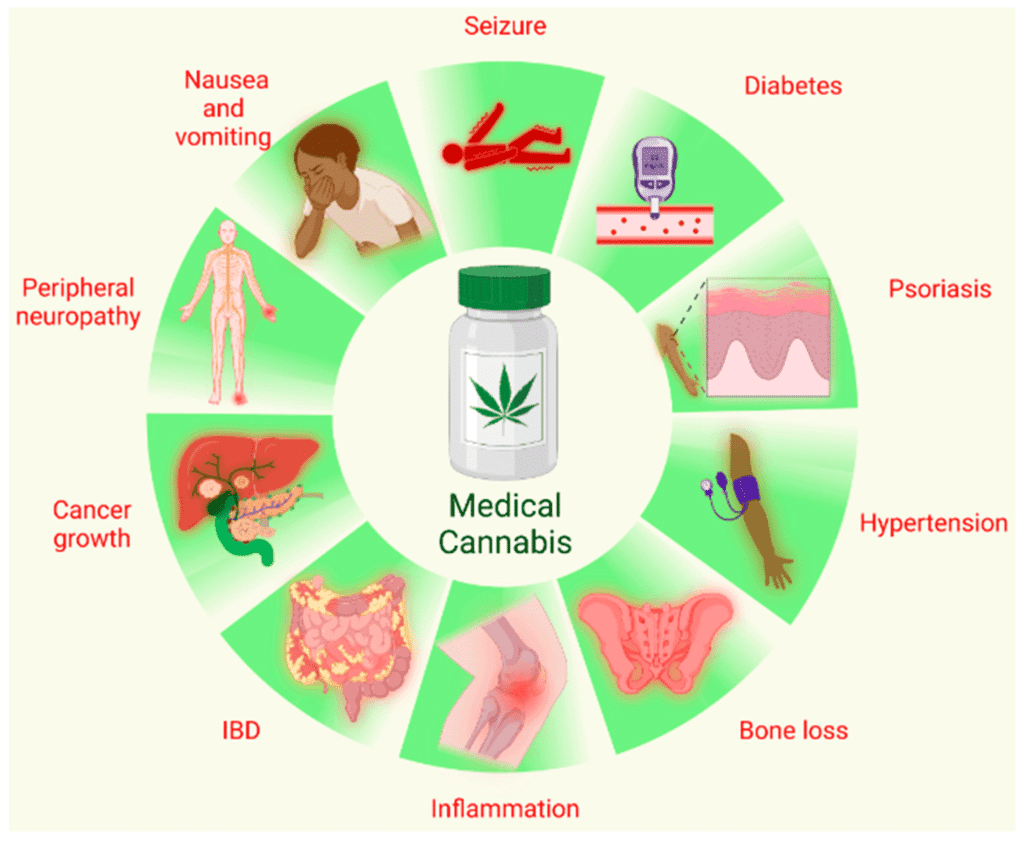 Delta-10-THC Side Effects, Risks, and Safety