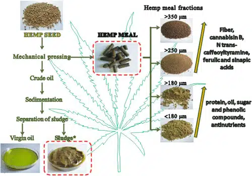 What is Hemp Oil Made Of?